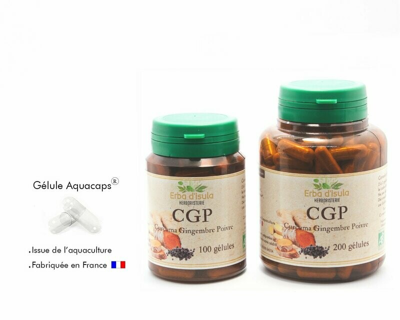 Curcuma Gingembre Poivre (CGP) Curcuma Gingembre Poivre (CGP)