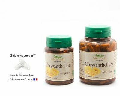 Chrysanthellum Chrysanthellum