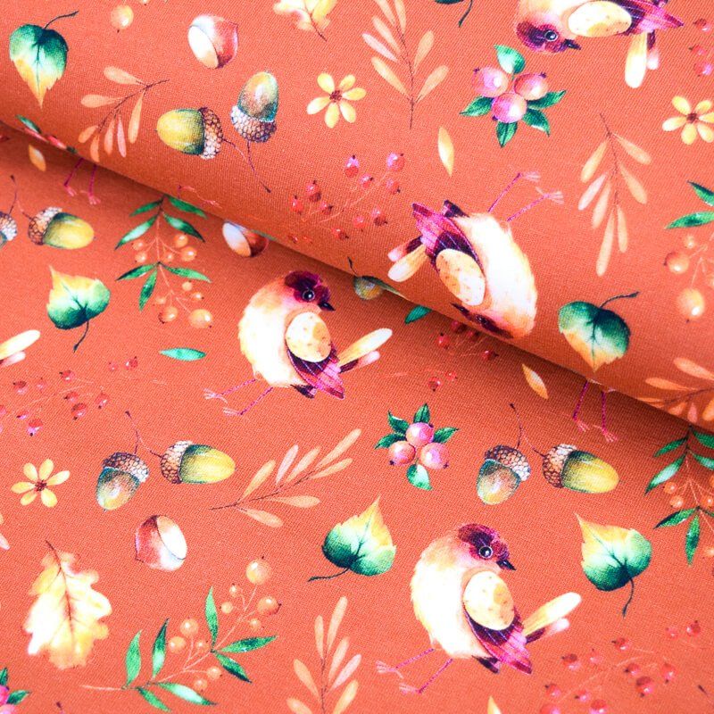 Jersey | Vogel Fiona