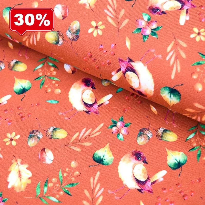 Jersey | Vogel Fiona