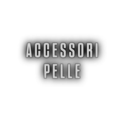 ACCESSORI pelle