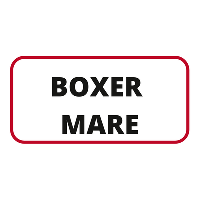 BOXER MARE