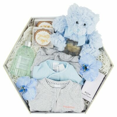 Luxe Baby Boy Gift Box