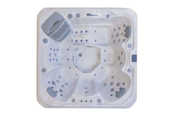 THE PLATINUM 12 (NEW 2026) QUICK DELIVERY THE PLATINUM 12 (NEW 2026) QUICK DELIVERY