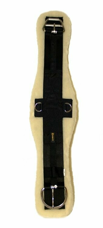 Sangle mouton anatomique