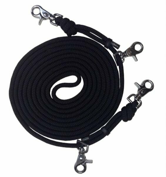 Draw reins