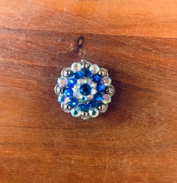 Conchos strasses(paire)