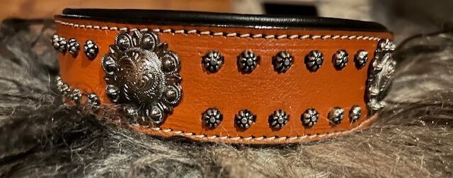 Collier studs et conchos