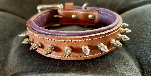 Collier cuir