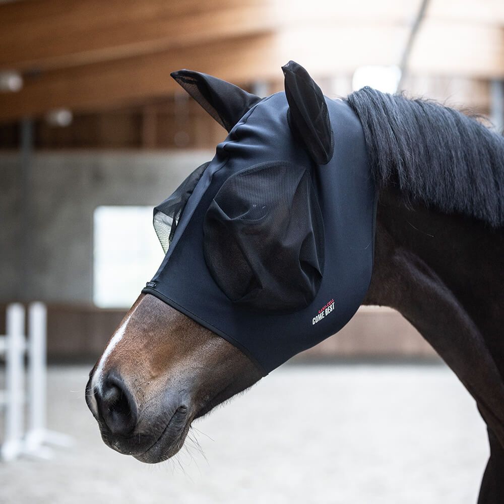 Masque anti-mouche titane Come Best
