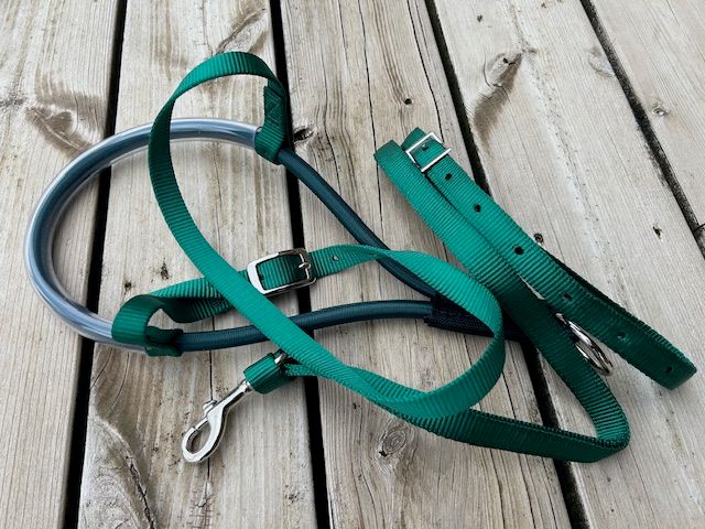 Noseband en shockcord