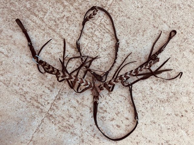 Bridon/collier de chasse Léo