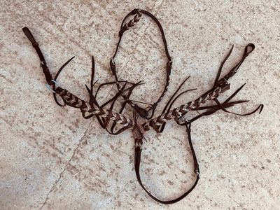 Bridon/collier de chasse Léo Bridon/collier de chasse Léo