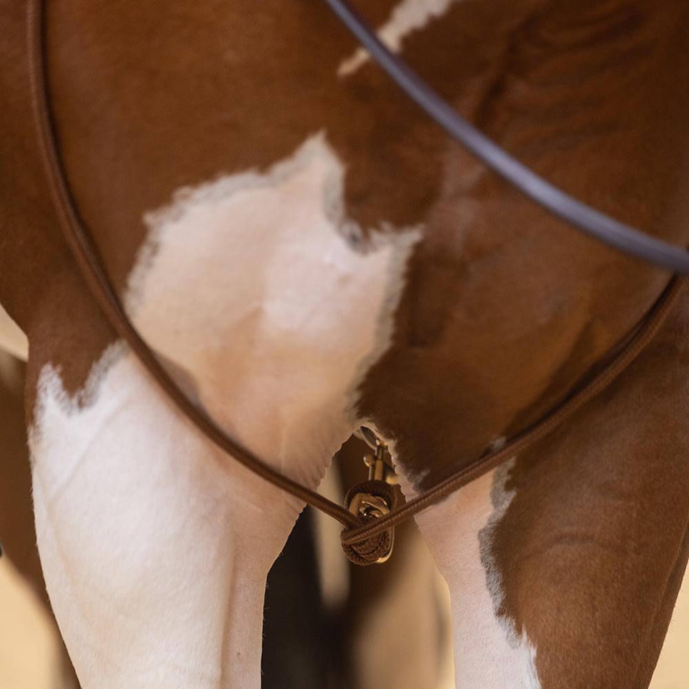 Training fork/Martingale