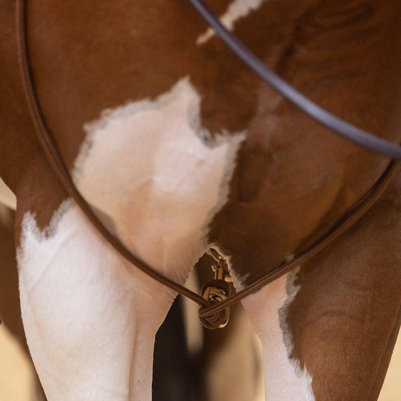 Training fork/Martingale