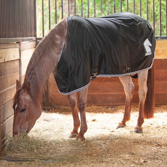 Classic Equine  closed front  stable sheet