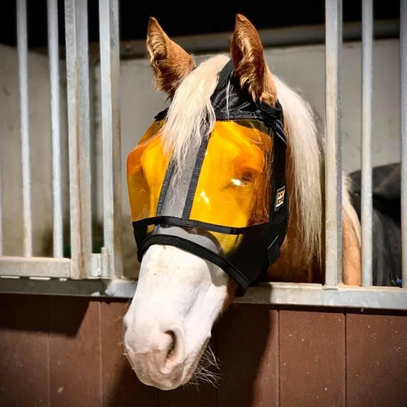 Xpertequine REM Restoration Equine Mask