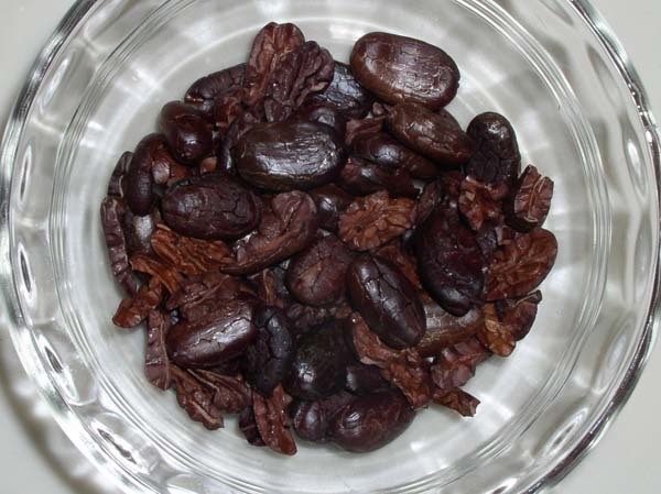 Cacao Nibs