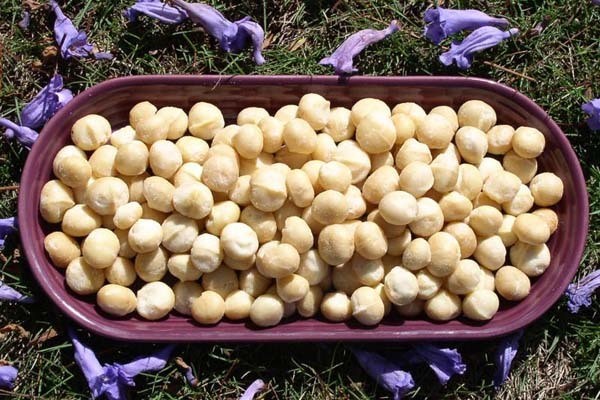 16oz Macadamia Nuts