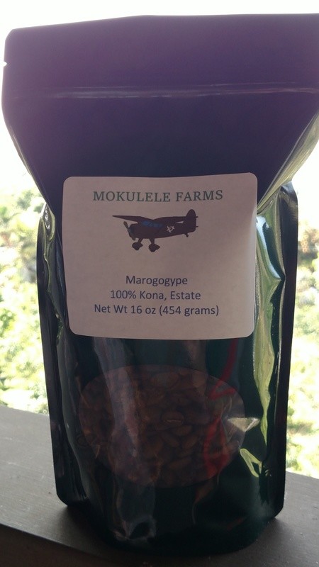 Kona Maragogype -- Sweetest Kona Coffee Ever