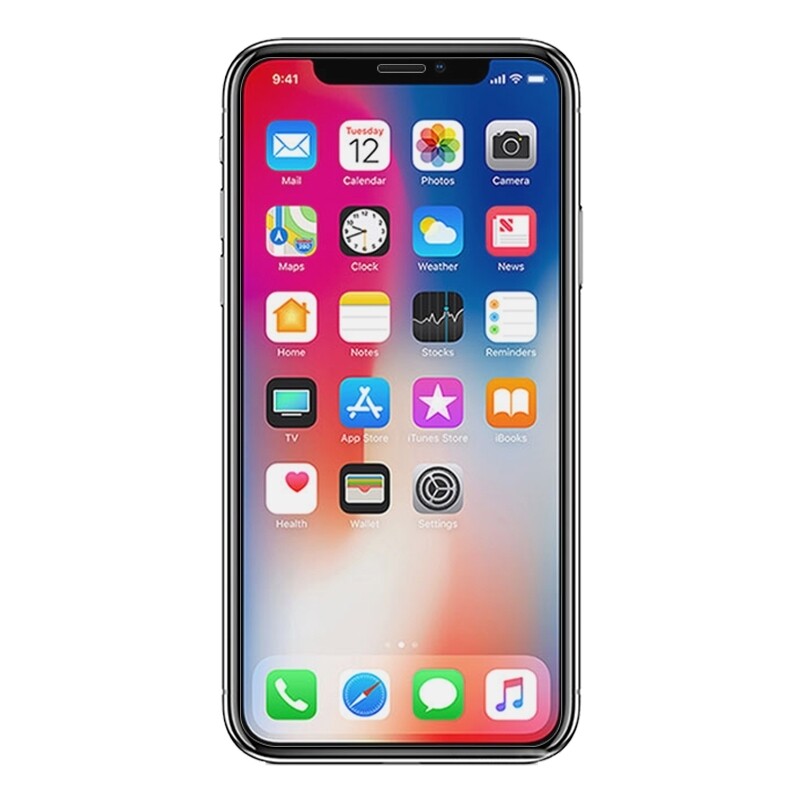 iPhone X/XS/11 Pro Regular