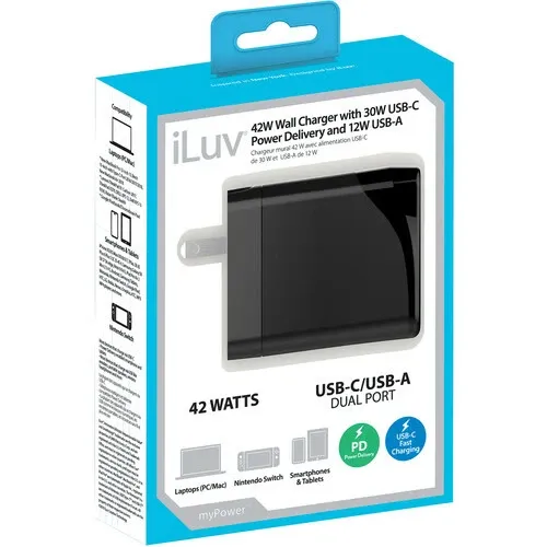 iLuv 42W Block