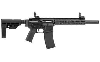 Tippmann Arms  M4-22 ELITE Bug Out ISS