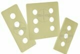Platten