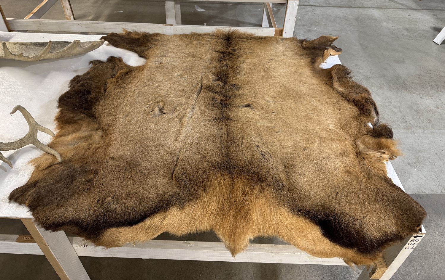 472 ELK HIDE