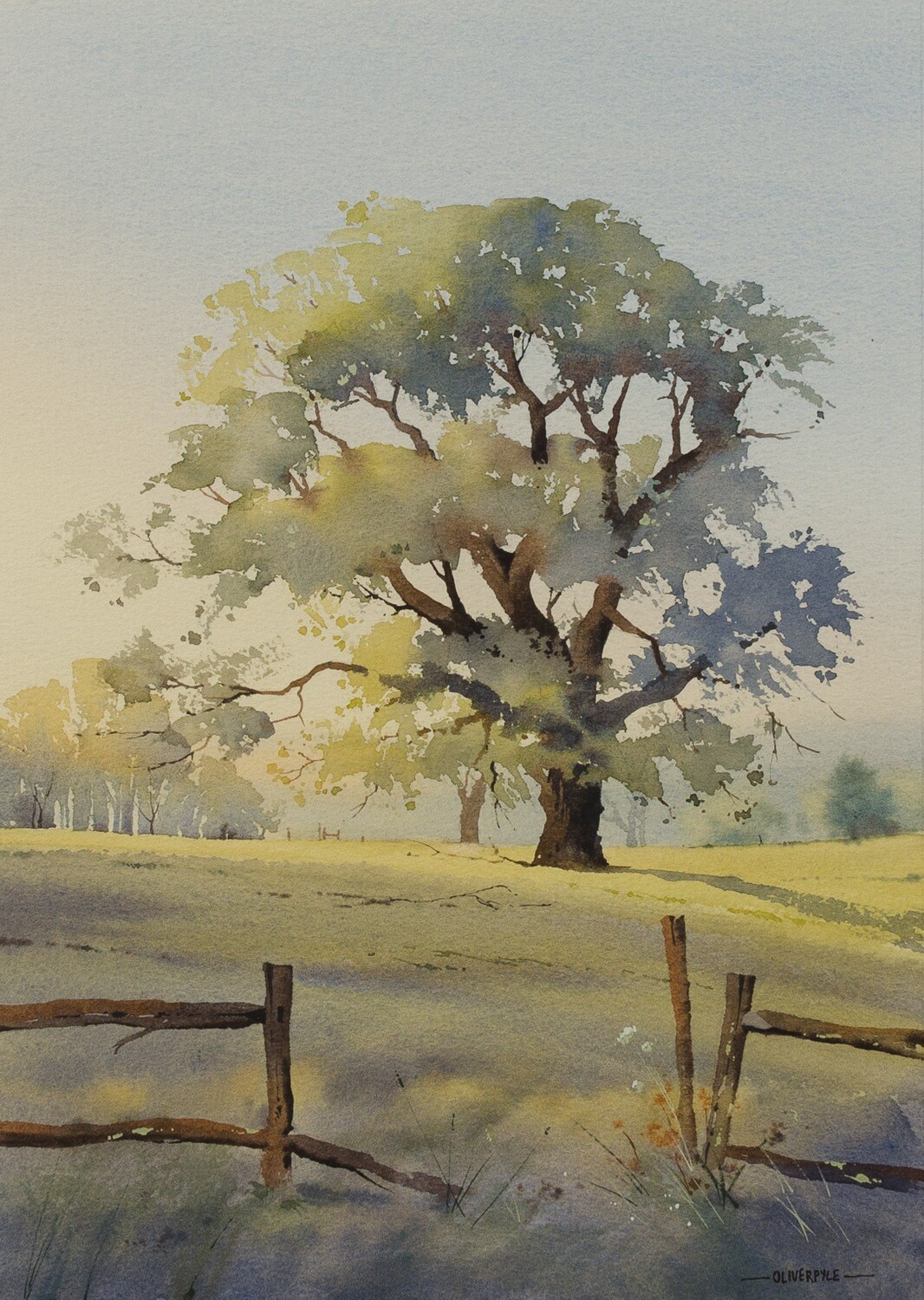 The Sussex Oak
