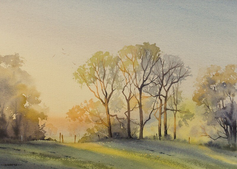 Last Light and Lime Trees
