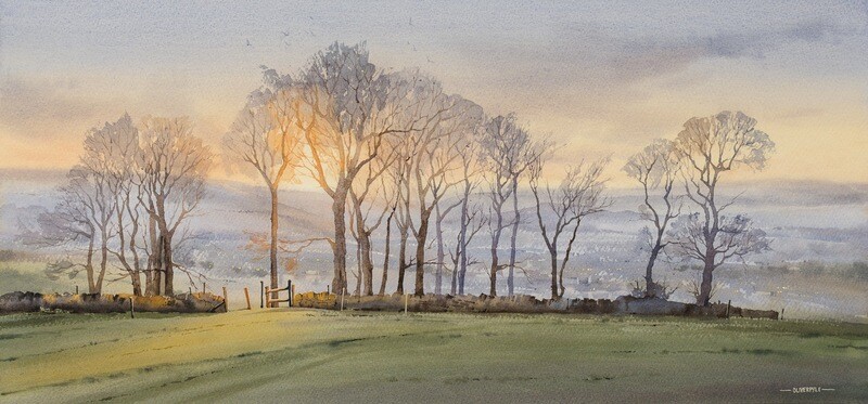 Evening Light on Cleeve Hill
