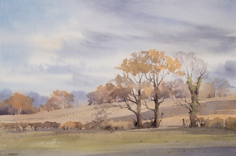 October Oaks, near Brook Street