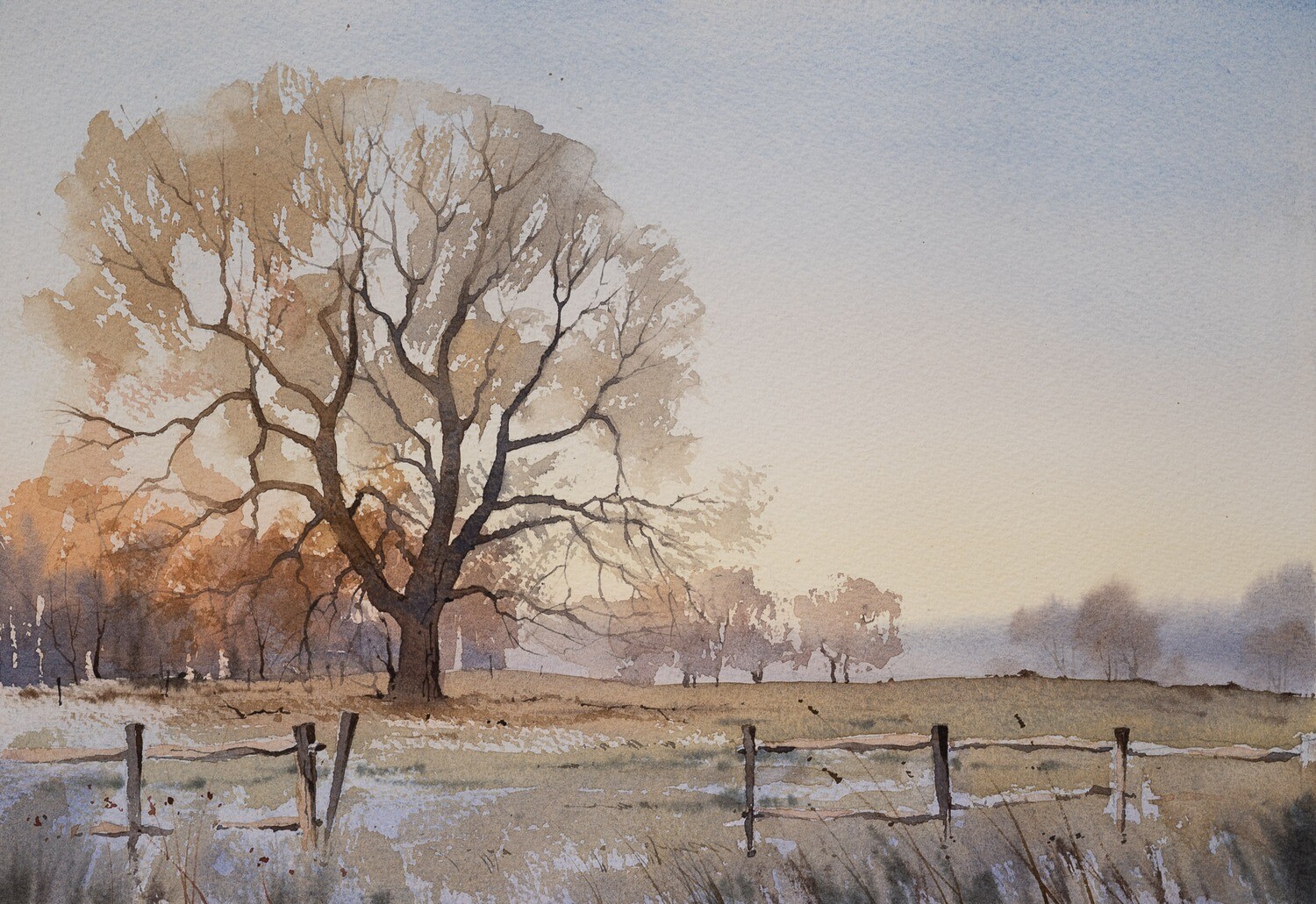 Winter Oak