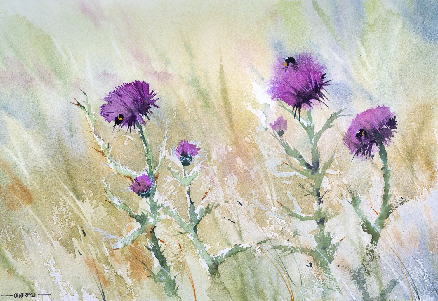 Thistles On The Purbeck Way