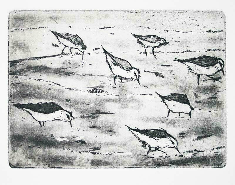 Birds on a Beach
