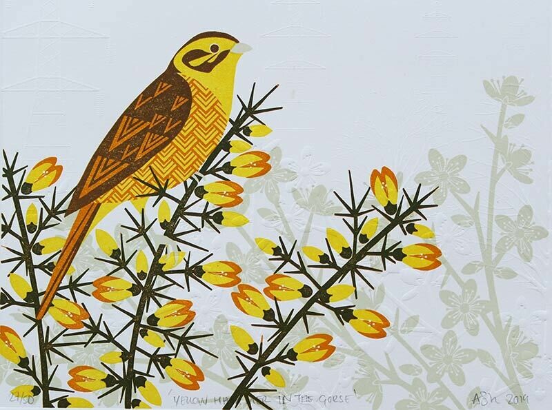 Yellowhammer in the Gorse