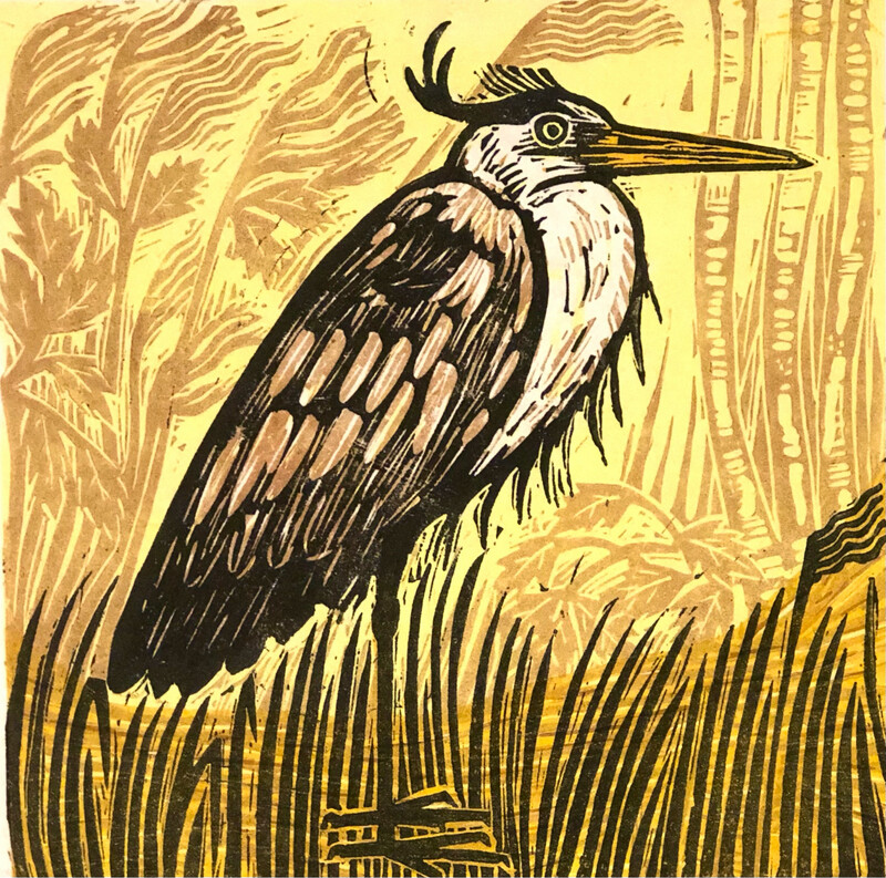 Heron in the reeds