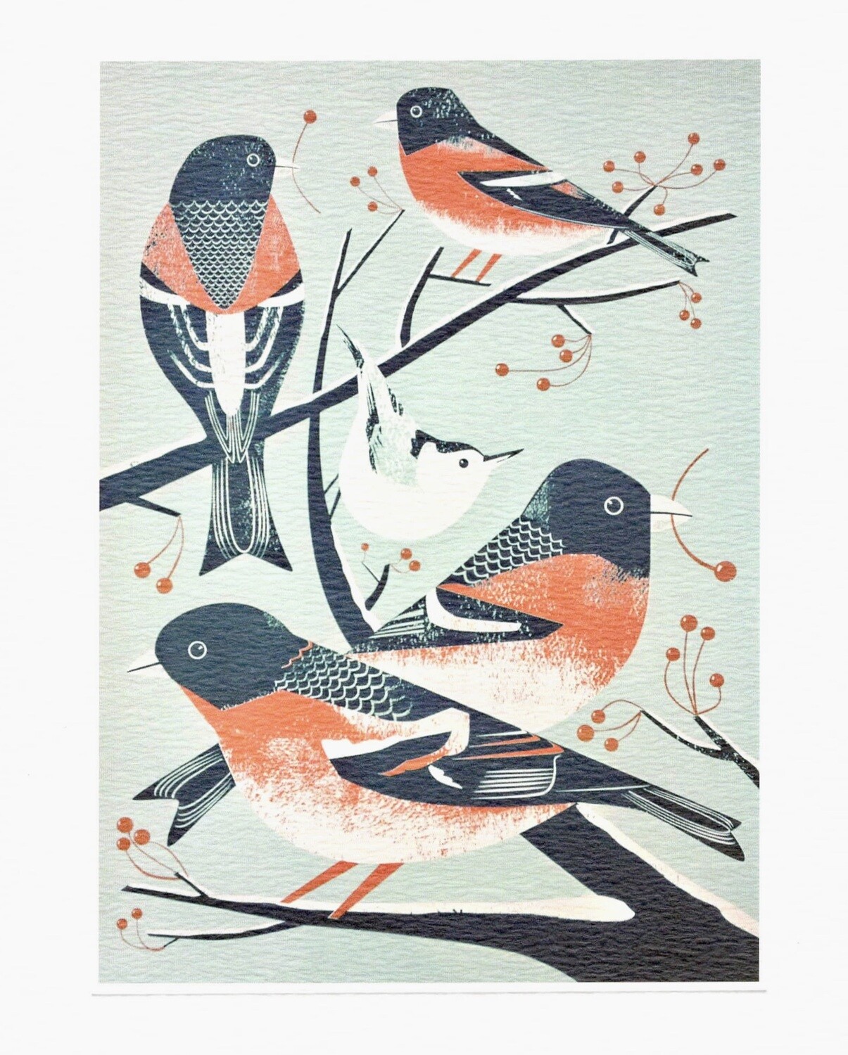 Bramblings and a Nuthatch- Winter Printmmakers Card