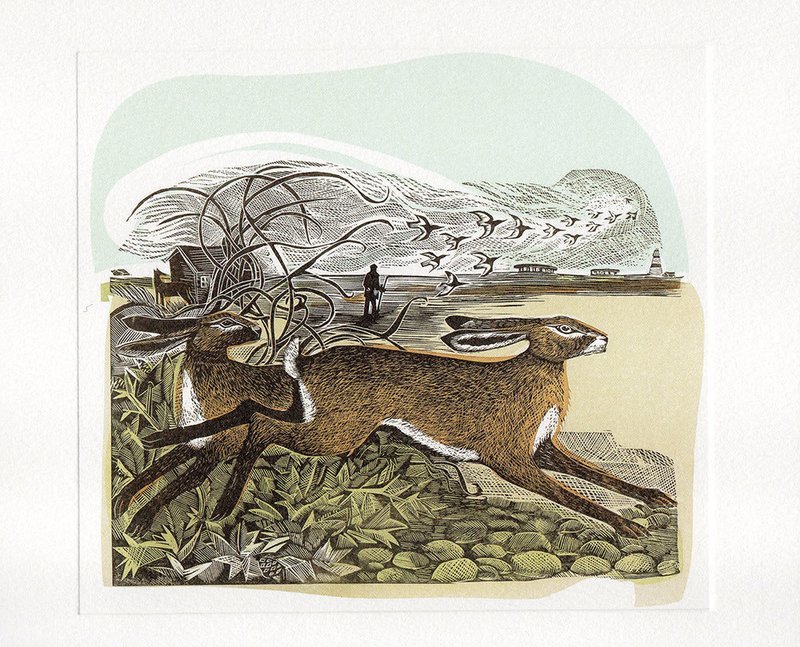 Hares at Orford Ness- Printmakers Card