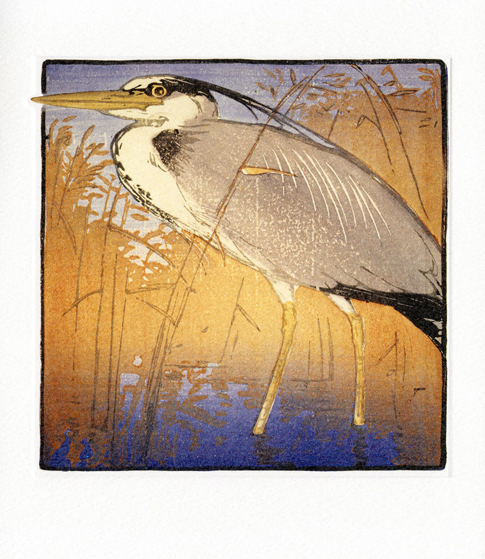 Heron- Printmakers Card