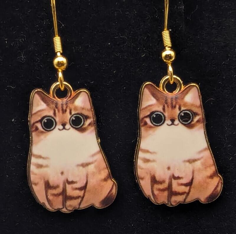 Brown and White Chubby Cats
