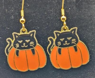 Black Cats in Pumpkin Shells