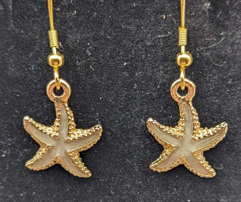 Grey-green Starfish