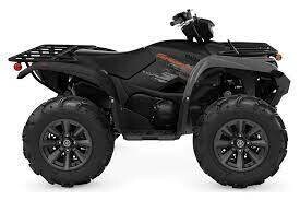 Grizzly