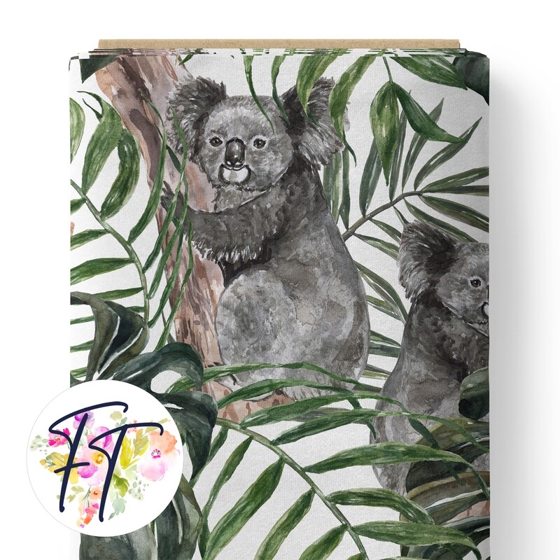 150 - Koala Palm