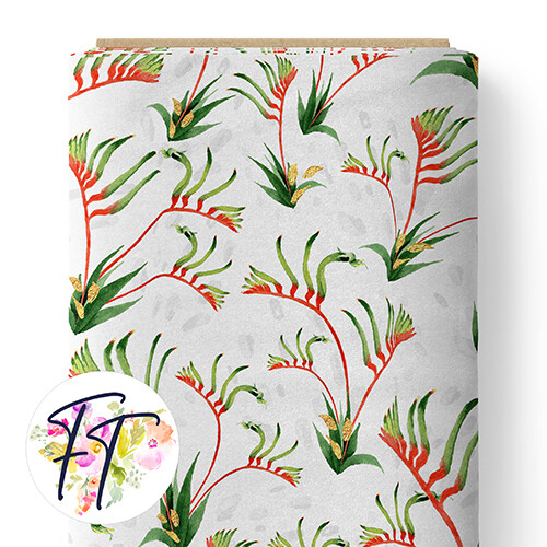 150 - Kangaroo Paw White