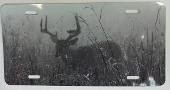 Buck in Fog,B&amp;W, License plate