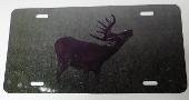 Buck in Green Pasture, Full Color License plate