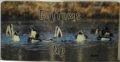 &quot;Bottoms Up&quot; Feeding Ducks Color License Plate